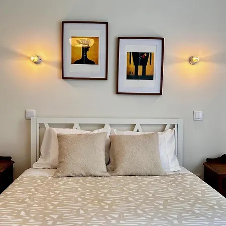 Terracota 2 Quartos Parque Pet Friendly Apartment Aveiro