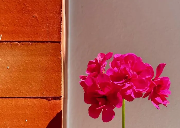 Terracota 2 Quartos Parque Pet Friendly 아파트 *